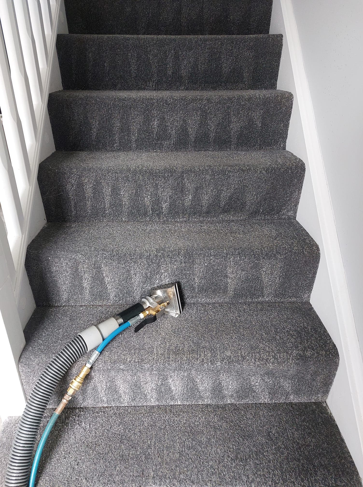 Professional carpet cleaning equipment being used on stairs